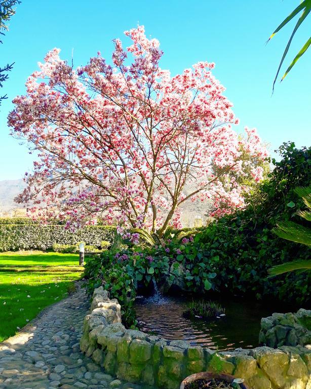 Il Casale di Riardo Luxury B&B Esterno foto
